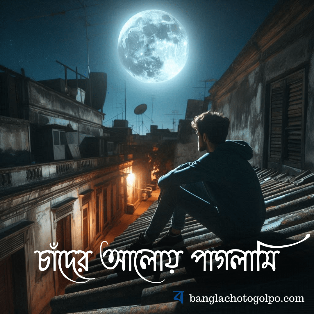 চাঁদের আলোয় বিচ্ছেদ ও নতুন সূচনার গল্প! দেশভাগের জেরে স্বপ্ন হারানো নায়িকা নতুন জীবন খুঁজে পায় গ্রামের সাদাসিধা ছেলের সাথে। এক পুরনো প্রেমের স্মৃতি আর নতুন বন্ধনের টানাকষিতে জীবনের সিদ্ধান্ত নেওয়ার সংগ্রাম।